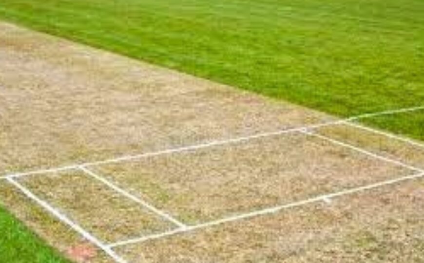 IND vs NZ 3rd ODI, Pitch Report