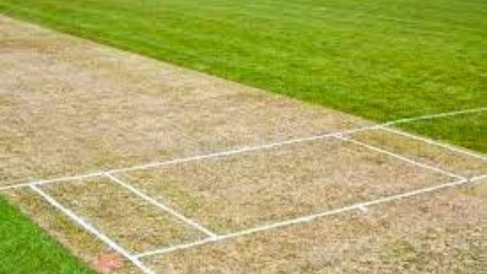 IND vs NZ 3rd ODI, Pitch Report