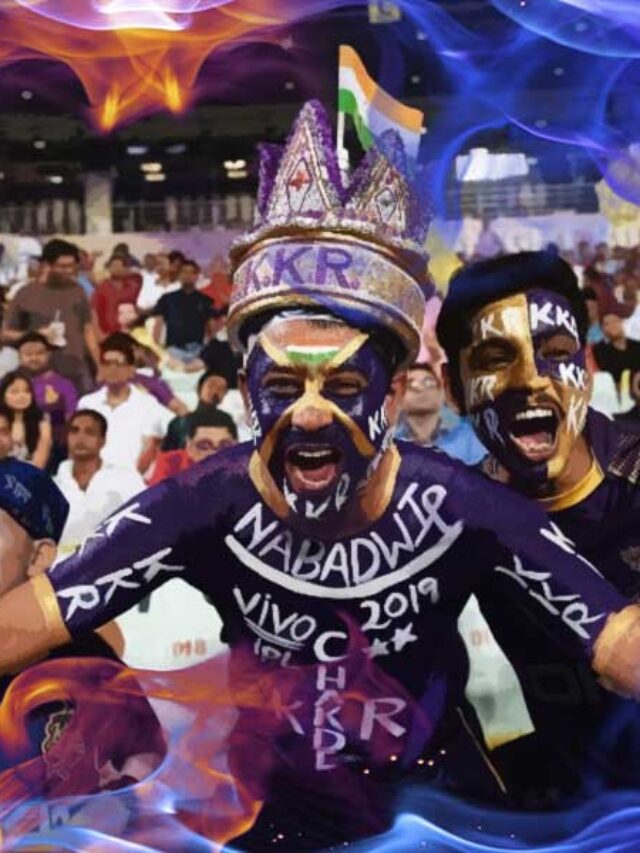 ipl team fan following