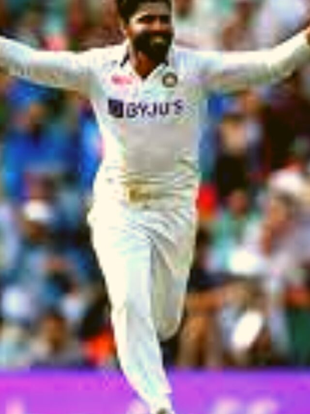 Aus vs Ind jadeja punch to australia