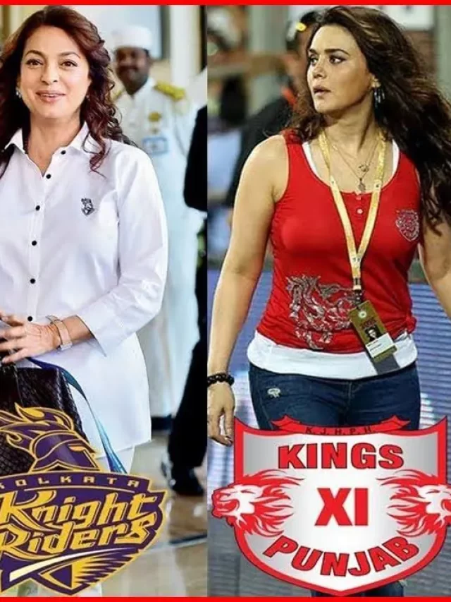 ipl owner
