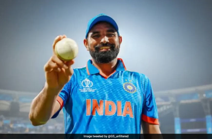 Mohammed Shami World Cup Wickets: World Cup 2023 मे अपनी घातक गेंदबाजी से बल्लेबाजों को धूल चटाते हुए भारतीय तेज गेंदबाज मोहम्मद शमी मैन ऑफ द टूर्नामेंट के सही हकदार।  
