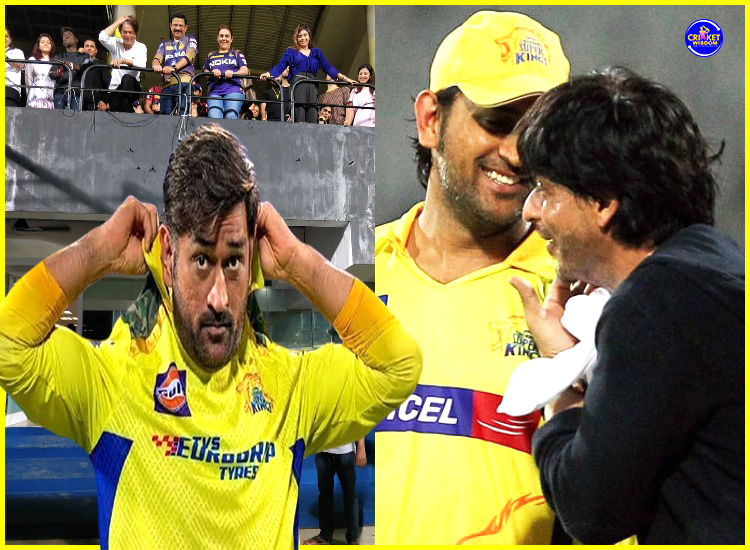 IPL Auction