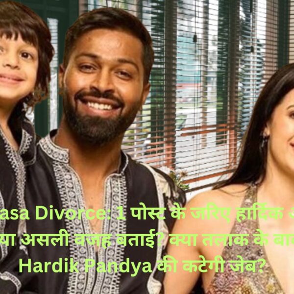 Hardik-Natasa Divorce: